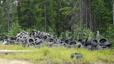 在树林里非法倾倒旧轮胎和车轮。 环境污染。 发展中国家的环境问题