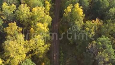 无人机正沿着铁轨飞过秋天的森林。 风吹动树冠