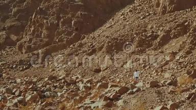 游客在炎热的沙漠中沿着岩石峡谷散步。 沙漠岩石背景，埃及，西奈，慢动作，全高清