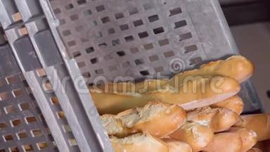 面包师用新鲜的烤面包直接从烤箱里装满一个盒子。 面包的制造工艺。