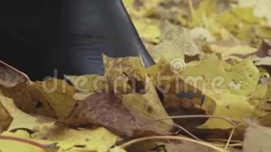 一个女人走在秋天公园的落叶上。 落叶开始了