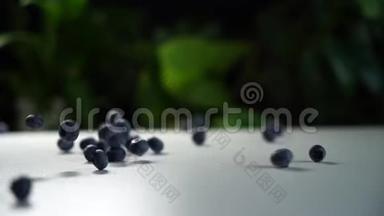 慢动作，蓝莓摔在一张白色<strong>的</strong>桌子上，摔在上面.. 背景是绿色植物<strong>的</strong>美丽框架