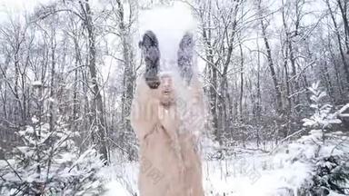 圣诞节和寒假的概念.. 快乐的女人在冬天的森林里扔雪