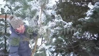 可爱的女人在她的冬季花园里，带着一大片松树和雪，祝圣诞快乐，新年快乐