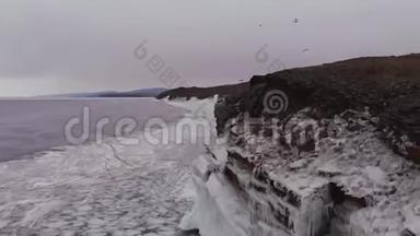 一<strong>群鸟</strong>飞过冰封的湖面。
