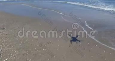 保加利亚波莫里的海浪、贝壳、沙子
