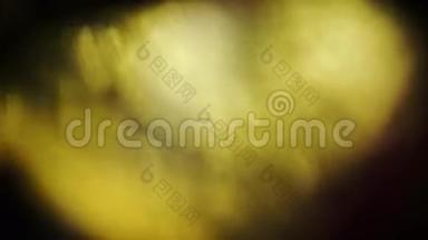 梦幻般抽象的金色光脉冲，在黑暗温暖的色调中发光。