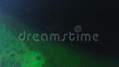 清冷的绿色湖景。穿着西服的潜水员在清澈的水中游泳，鸟瞰图