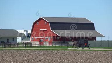 黑马沿着阿米什县阿瑟·伊利诺伊州的农场公路拉着马车的速度
