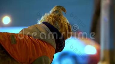 约克郡的猎犬穿着橙色<strong>羽绒服</strong>，晚上在一条下雪的城市街道上迷路了。 下雪了，他在发抖