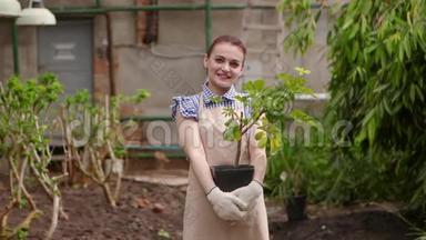 温室里的女园丁<strong>手里</strong>拿着盆栽，<strong>手里</strong>拿着相机，微笑着。