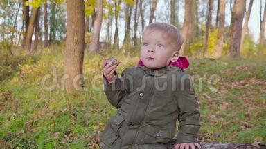 户外肖像可爱的幼儿男孩在秋天公园，玩和<strong>吃饼干</strong>。