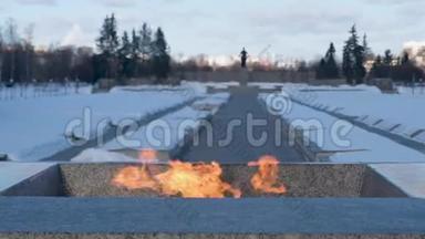 第二次世界大战。 普斯卡里亚夫斯基墓地的永恒火焰列宁格勒。