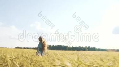 美丽的女孩在阳光明媚的麦田里奔跑。 慢动作120fps.. 太阳透镜耀斑。 自由概念。 快乐的女人