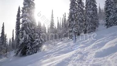 年轻女子在阳光下在山上滑雪，在美妙的降雪中有镜头闪光<strong>效果</strong>。 慢动作。 3840x2160