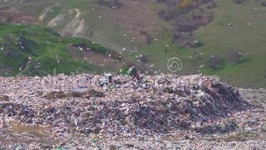 一辆卡车在一个许多鸟飞的大垃圾场<strong>卸货</strong>。 污染。