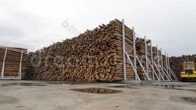 库存或仓库，成堆的原木，木材，木材，木材，树木。 木工厂、工厂
