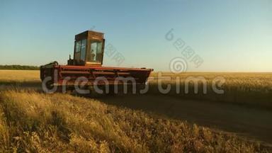 联合收割机继续收割小麦。 旧的领地。 麦田。 一个农民骑着一辆旧车