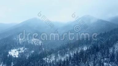 山上覆盖着松树常绿<strong>树林</strong>的降雪空中。 冬雪落在杉树云杉林中