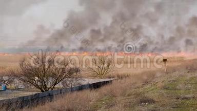一阵大风吹过田野里的大火，乌克兰