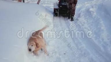 男人清洁雪机冬天的雪路和可爱的狗清洁羊毛