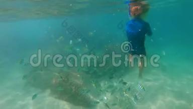 一个小男孩戴着面具潜泳，<strong>呼吸管</strong>在美丽的大海里喂热带鱼，慢镜头