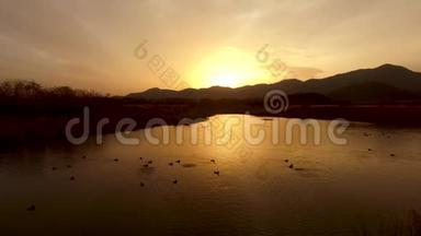 太阳落山时在河上嬉戏的鸟儿，韩国庆尚南道阳山