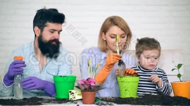 父亲和母亲对这个小男孩帮助他们种植夏天的花感到高兴。 夏季概念