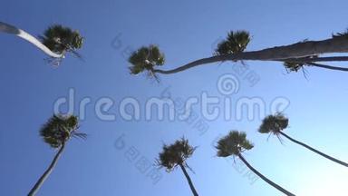 <strong>高大</strong>的加利福尼亚棕榈树在风中摇曳。 相机抬头。 温暖的晴天在圣莫尼卡海滩，加利福尼亚州。 美国