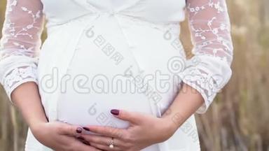 波霍式孕妇抚摸她的大肚子。 母亲穿着白色连衣裙，穿着芦苇背景田野。 大自然，秋天