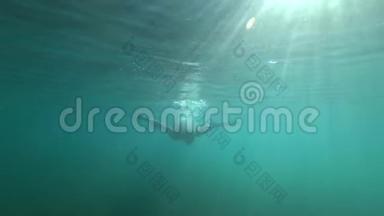 潜水，年轻人在水下游泳，眼睛睁着，明亮的<strong>阳光穿透</strong>