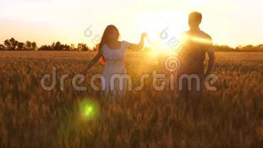 快乐的孩子和爸爸妈妈走在田野里，带着小麦在金色的夕阳下，笑着。