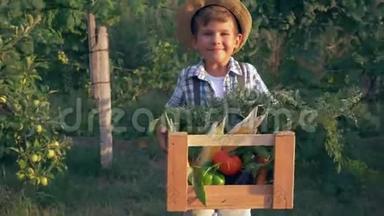 <strong>农村孩子</strong>在花园里的树木背景上拿着装有新鲜蔬菜的木箱