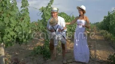 文特纳摘有机葡萄时，幸福的一家人戴着草帽，手里拿着一篮子新鲜水果，在葡萄树上一排排地走来走去