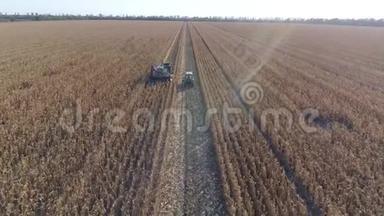 秋收季节玉米地农业机械