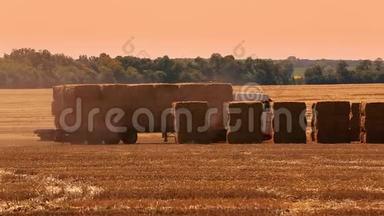 装载干草捆的卡车穿过田野。 加拿大马尼托巴省。 一辆装满干草的橙色大卡车穿过田野