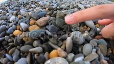女人试图用手指触摸小螃蟹跑在鹅卵石海滩上看水。 行动凸轮视图