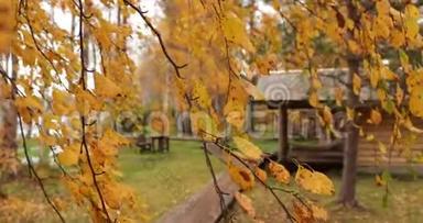 有黄叶的桦树枝随风飘动，近处，背景上的林间小屋，美丽的森林