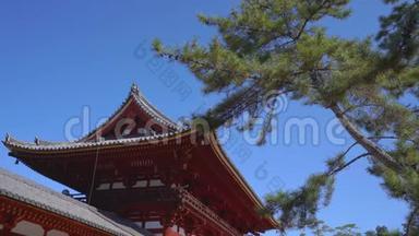 日本奈良的一座大佛像塔台寺