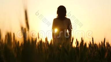 镜头缓缓升起在金色麦穗之间.. 那个女孩在日落时站在阳光下举手。