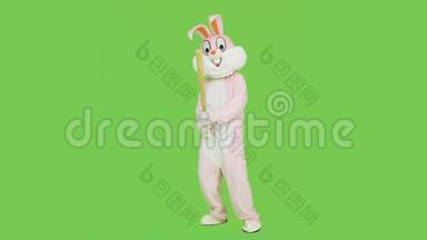 棒球运动员穿成人复活节兔子真人大小的套装，在彩色钥匙或绿色上挥动棒球蝙蝠