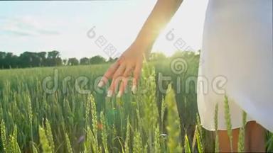 年轻的女人`手，在<strong>夕阳</strong>下穿过麦田。 女孩`手紧紧地摸着麦穗。 享受<strong>夏日</strong>